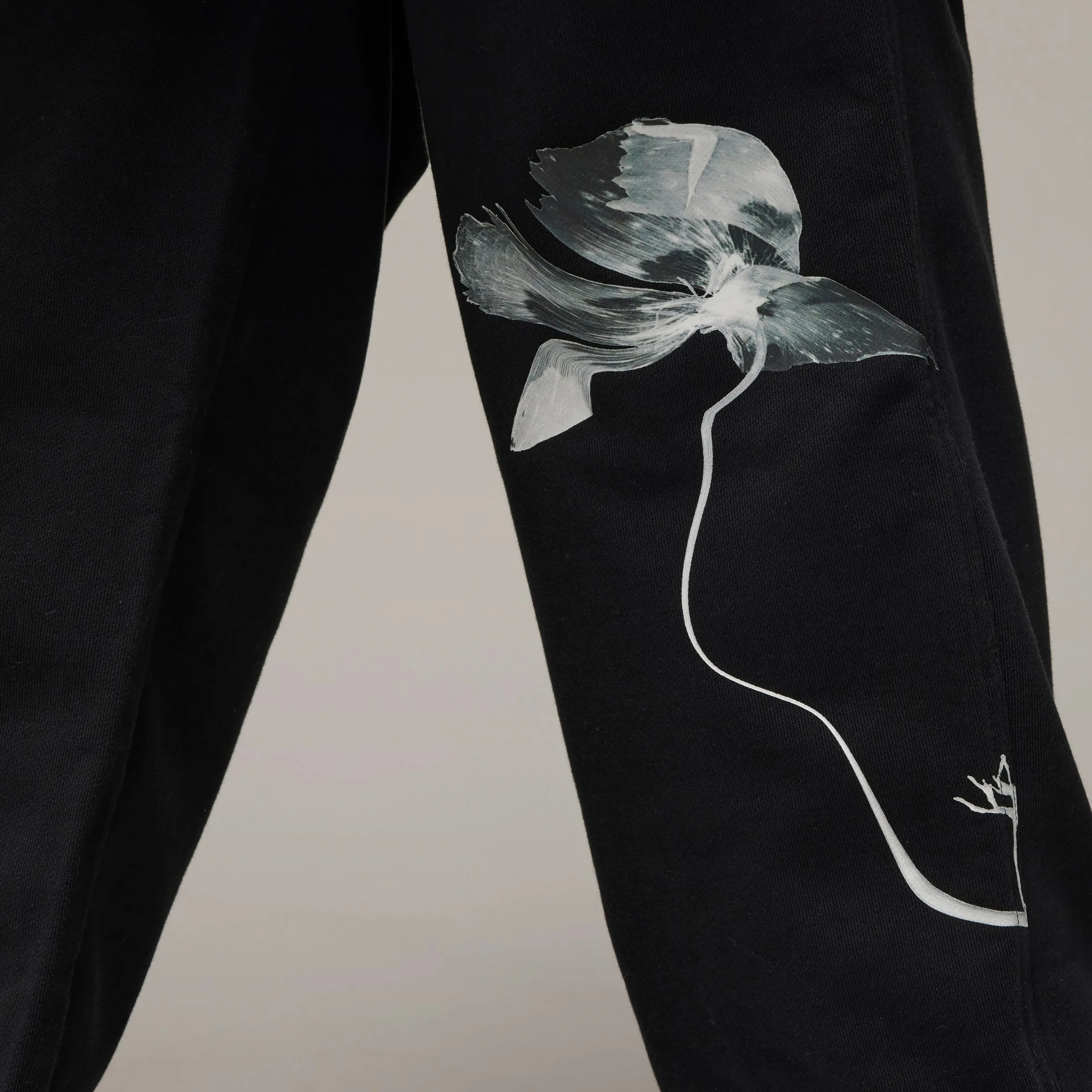 ADIDAS Y-3 Graphic French Terry Pant Black