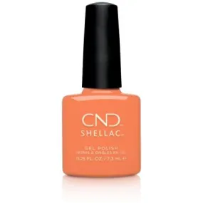 CND - Shellac Catch Of The Day (0.25 oz)