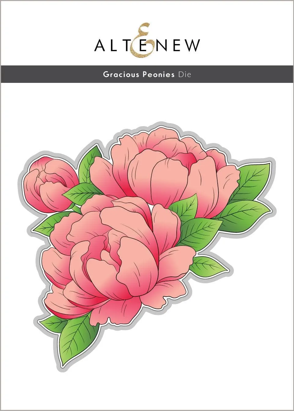 Gracious Peonies