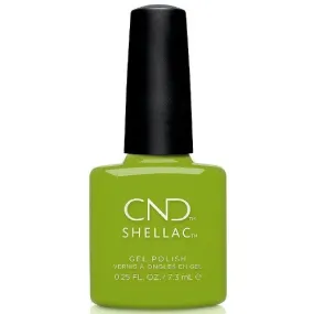 Shellac Crisp Green