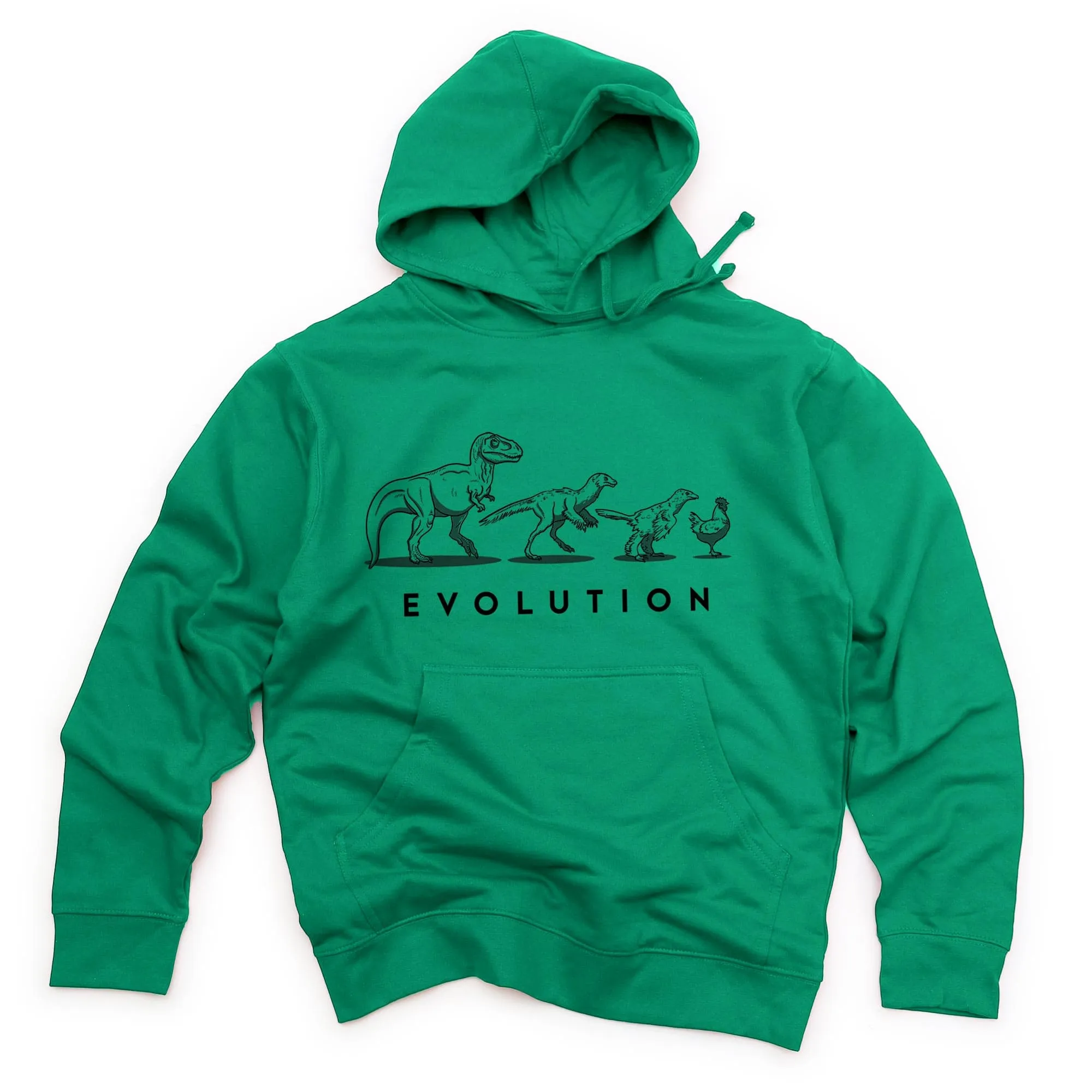 Unisex Evolution of the Dinosaur Midweight Pullover Hoodie